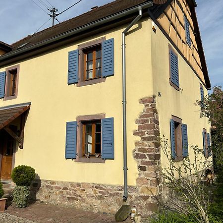 Gite La Maison De Jules Muntzenheim Extérieur photo